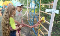 foto-6
