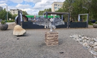 foto-2