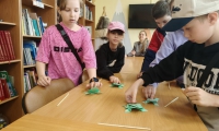 foto-15