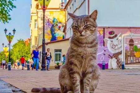 Зеленоградск