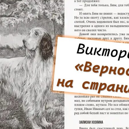 Викторина «Верность на страницах»