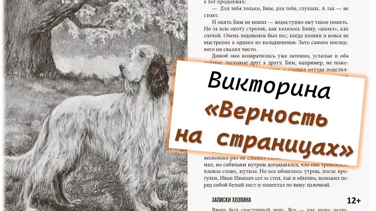 Викторина «Верность на страницах»